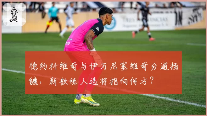 德约科维奇与伊万尼塞维奇分道扬镳，新教练人选将指向何方？