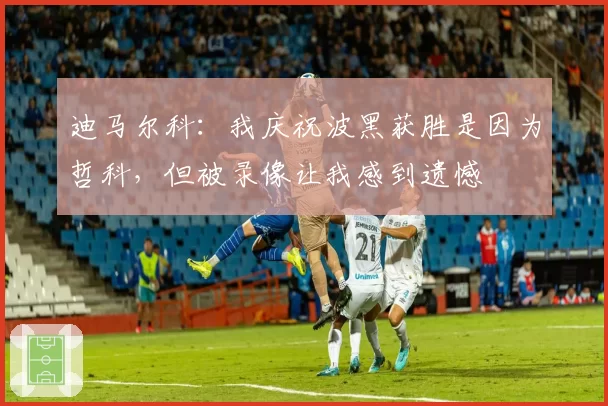 迪马尔科：我庆祝波黑获胜是因为哲科，但被录像让我感到遗憾